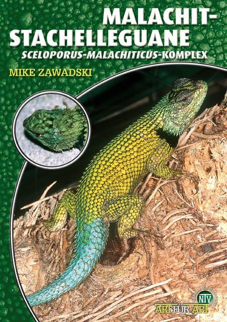 Malachit-Stachelleguane - Mike Zawadski
