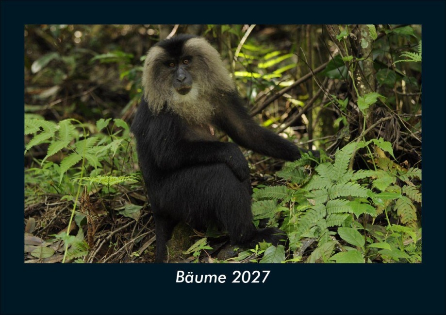 Bäume 2027 Fotokalender DIN A5 - Tobias Schmitt, Kevin Heber