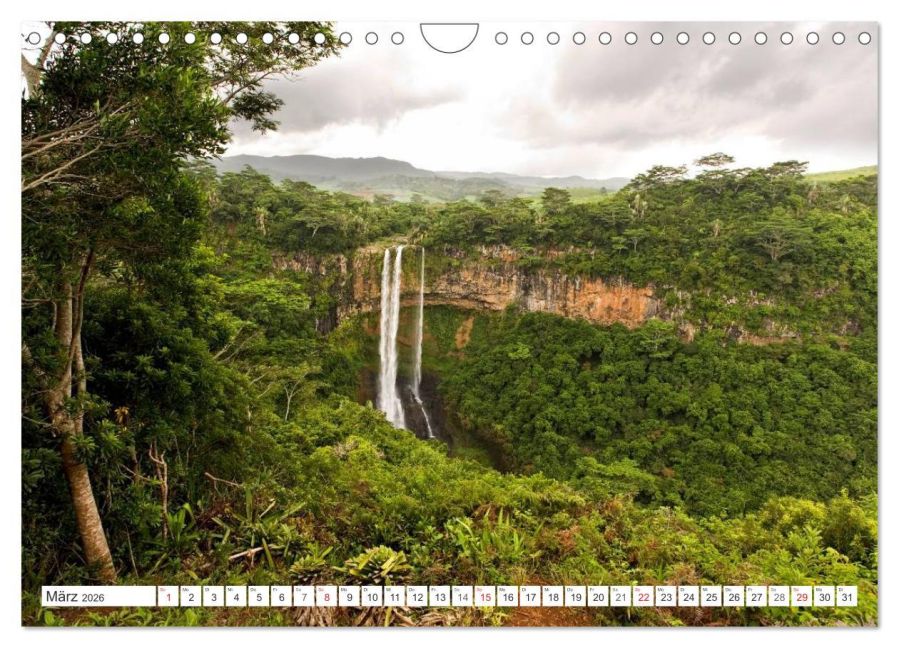InsideView 8