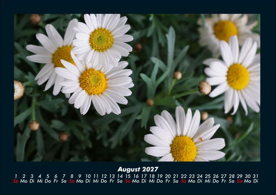 InsideView 12