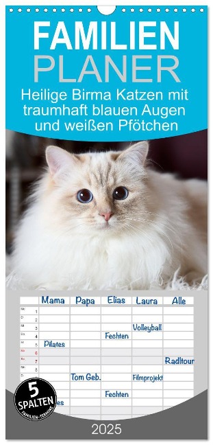 Familienplaner 2025 - Heilige Birma Katzen mit traumhaft blauen Augen und weißen Pfötchen mit 5 Spalten (Wandkalender, 21 x 45 cm) CALVENDO - Michaela Thoms