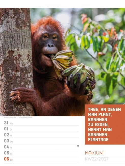 InsideView 26