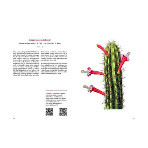InsideView 10