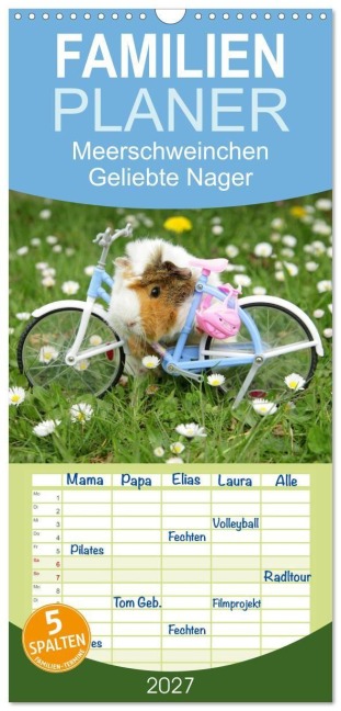 Familienplaner 2027 - Meerschweinchen. Geliebte Nager mit 5 Spalten (Wandkalender, 21 x 45 cm) CALVENDO - Elisabeth Stanzer