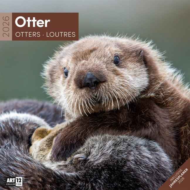 Otter Broschürenkalender 2026 - 30x30 - Art12 - 