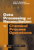 Cover-Bild zum Titel 'Data Processing and Reconciliation for Chemical Process Operations' von 'José A. Romagnoli, Mabel Cristina Sanchez'