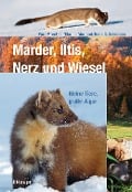 Cover-Bild zum Titel 'Marder, Iltis, Nerz und Wiesel' von 'Paul Marchesi, Hans C. Salzmann, Claude Mermod'