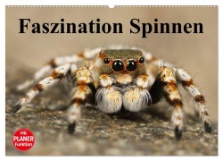 Cover-Bild zum Titel 'Faszination Spinnen (Wandkalender 2026 DIN A2 quer), CALVENDO Monatskalender' von 'Elisabeth Stanzer'