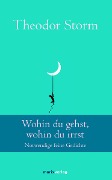 Cover-Bild zum Titel 'Wohin du gehst, wohin du irrst' von 'Theodor Storm'