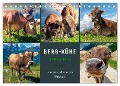 Berg-Kühe, Natur pur - unser schönster Urlaub (Tischkalender 2024 DIN A5 quer), CALVENDO Monatskalender - Peter Roder