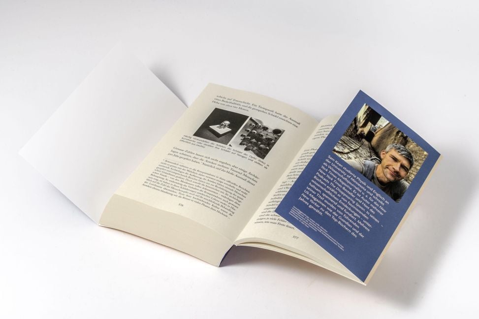 InsideView 6