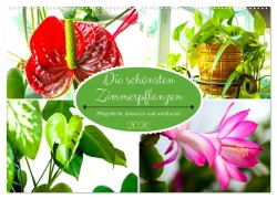 Die schönsten Zimmerpflanzen. Pflegeleicht, dekorativ und wohltuend (Wandkalender 2026 DIN A2 quer), CALVENDO Monatskalender - Rose Hurley