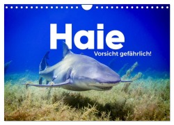Cover-Bild zum Titel 'Haie - Vorsicht gefährlich! (Wandkalender 2026 DIN A4 quer), CALVENDO Monatskalender' von 'M. Scott'