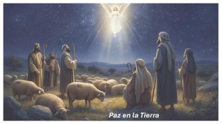 Cover-Bild zum Titel 'Paz en la Tierra' von 'Fernando Davalos'