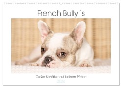 Cover-Bild zum Titel 'French Bully¿s - Große Schätze auf kleinen Pfoten (Wandkalender 2026 DIN A2 quer), CALVENDO Monatskalender' von 'Susanne Stark Sugarsweet - Photo'