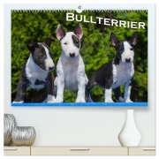 Cover-Bild zum Titel 'Bullterrier (hochwertiger Premium Wandkalender 2026 DIN A2 quer), Kunstdruck in Hochglanz' von 'Bullterrier Bullterrier'