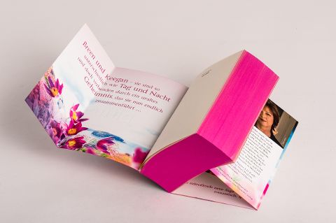 InsideView 6