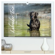 Labrador Trio - 3 Farben, 3 Freunde (hochwertiger Premium Wandkalender 2026 DIN A2 quer), Kunstdruck in Hochglanz - Cornelia Strunz