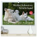 Weißer Schweizer Schäferhund - Ein Tag im Leben einer Hundefamilie (hochwertiger Premium Wandkalender 2025 DIN A2 quer), Kunstdruck in Hochglanz - Sigrid Starick