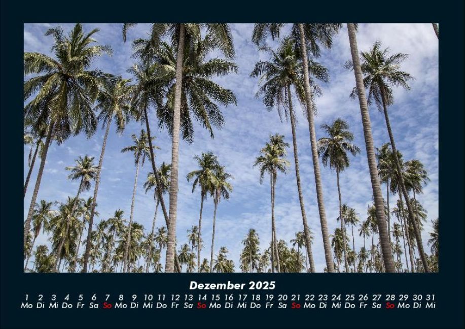 InsideView 4