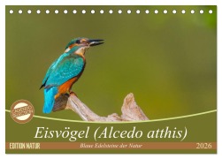 Cover-Bild zum Titel 'Eisvögel (Alcedo atthis) - Edelsteine der Natur (Tischkalender 2026 DIN A5 quer), CALVENDO Monatskalender' von 'Ursula Di Chito'