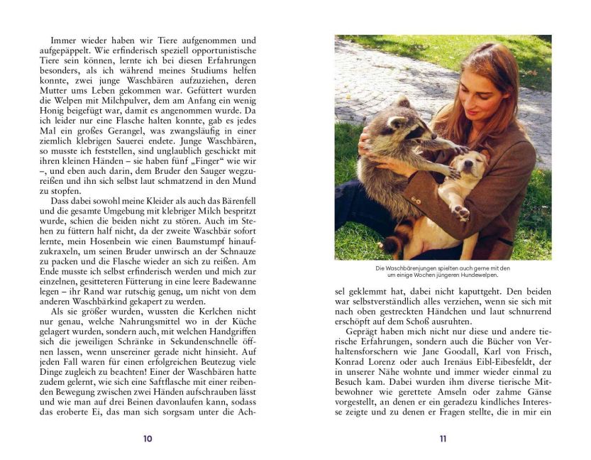 InsideView 5
