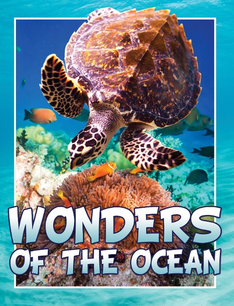 Wonders Of The Ocean - Marshall Koontz