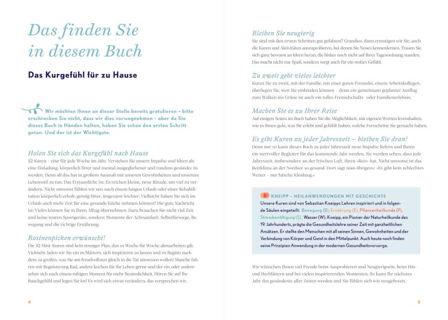 InsideView 2