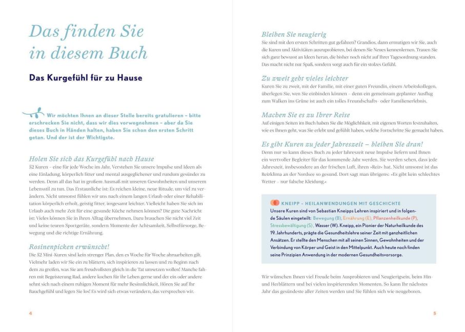 InsideView 2