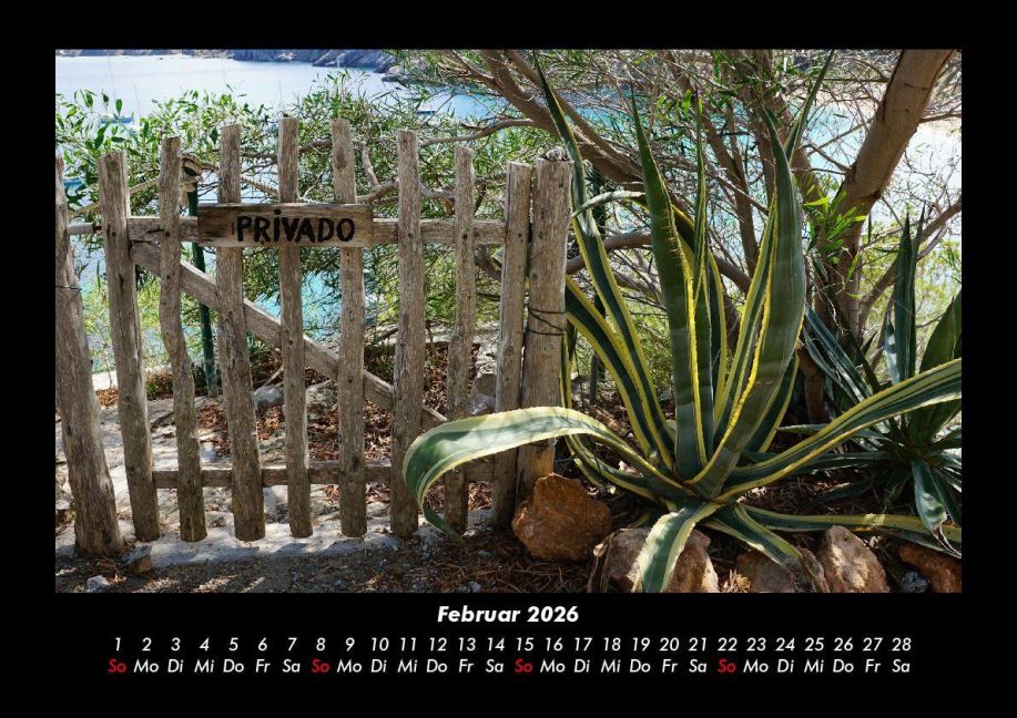 InsideView 6