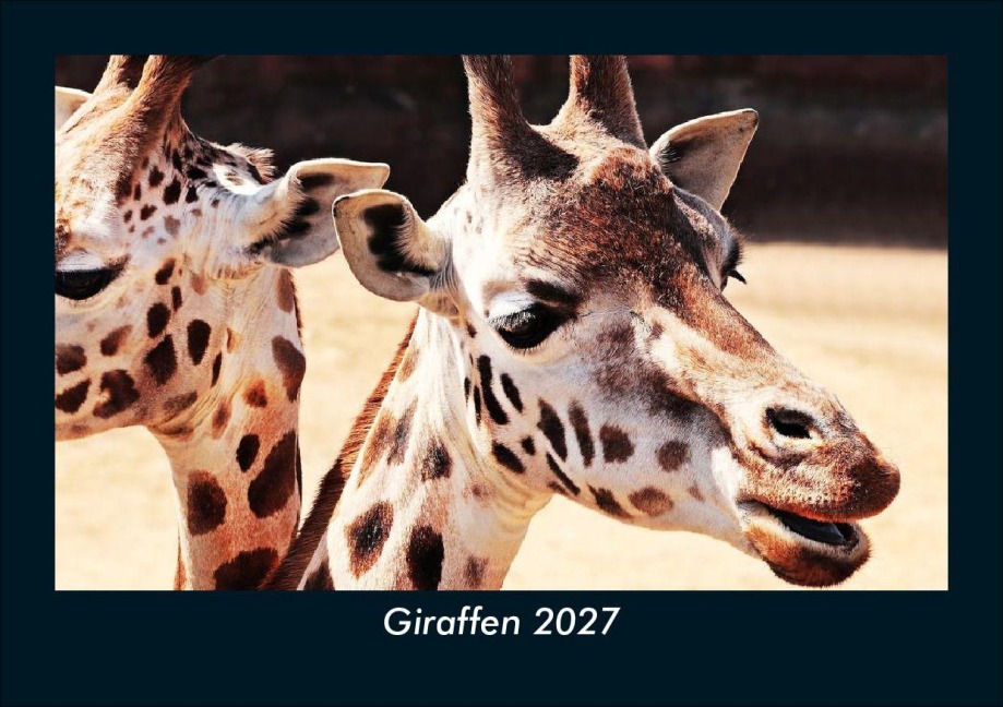 Giraffen 2027 Fotokalender DIN A5 - Tobias Schmitt, Kevin Heber