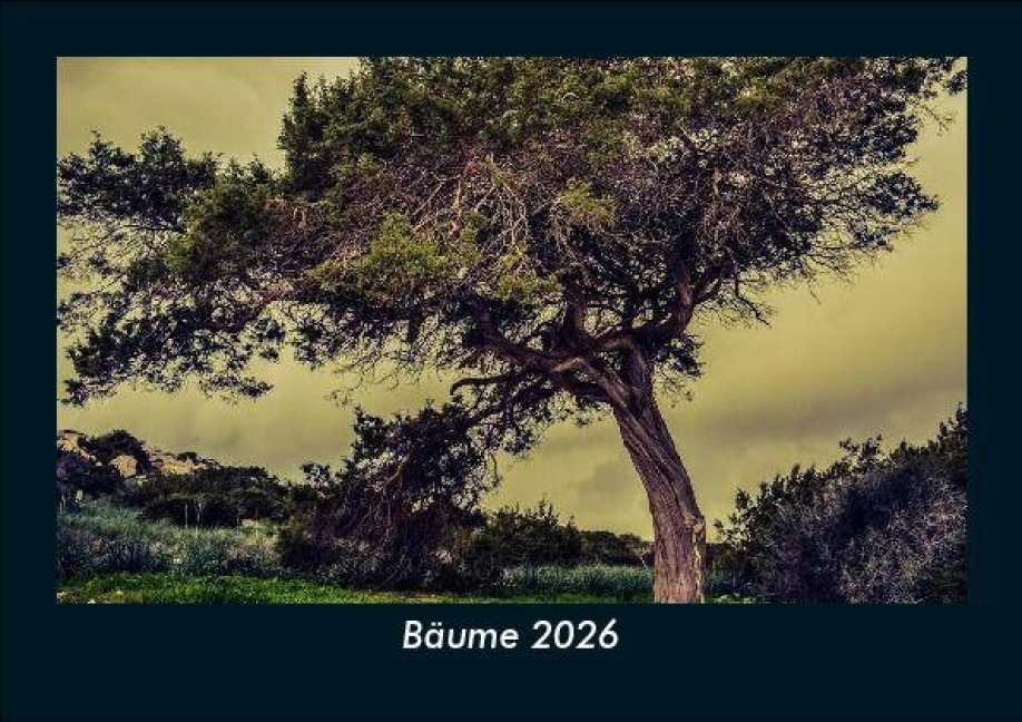 Bäume 2026 Fotokalender DIN A5 - Tobias Becker
