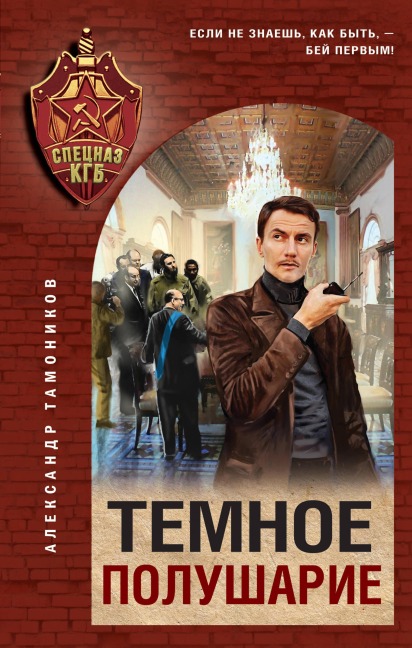 Temnoe polusharie - Aleksandr Tamonikov