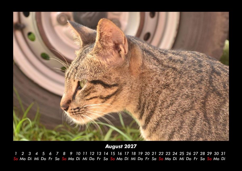 InsideView 12