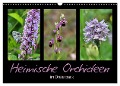 Heimische Orchideen im Dreierpack (Wandkalender 2024 DIN A3 quer), CALVENDO Monatskalender - Sabine Löwer