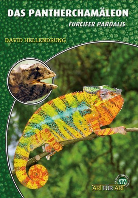 Das Pantherchamäleon - David Hellendrung