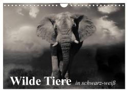 Wilde Tiere in schwarz-weiß (Wandkalender 2026 DIN A4 quer), CALVENDO Monatskalender - Elisabeth Stanzer