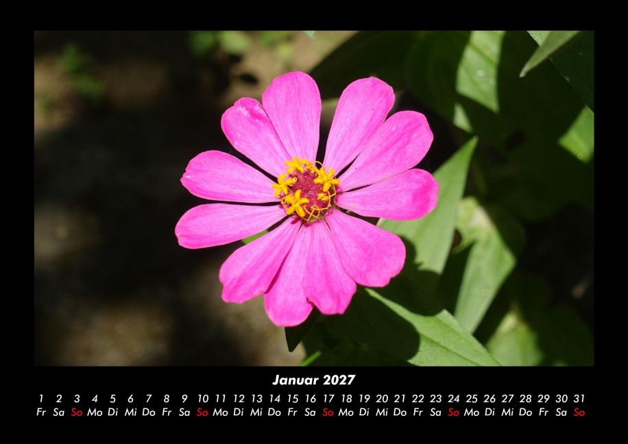 InsideView 5