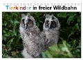 Tierkinder in freier Wildbahn (Tischkalender 2025 DIN A5 quer), CALVENDO Monatskalender - Günter Bachmeier