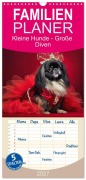 Cover-Bild zum Titel 'Familienplaner 2027 - Kleine Hunde - Große Diven mit 5 Spalten (Wandkalender, 21 x 45 cm) CALVENDO' von 'Fotodesign Verena Scholze'