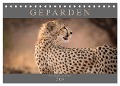 Geparden - Die Schönheiten Afrikas (Tischkalender 2024 DIN A5 quer), CALVENDO Monatskalender - Markus Pavlowsky