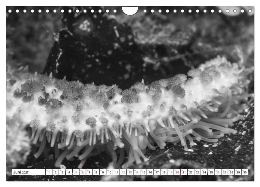 InsideView 11