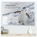 Antarktis, die eisige Heimat der Pinguine (hochwertiger Premium Wandkalender 2024 DIN A2 quer), Kunstdruck in Hochglanz - Michèle Junio