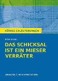 Cover-Bild zum Titel 'Königs Erläuterungen: Das Schicksal ist ein mieser Verräter von John Green' von 'John Green'