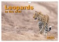 Leopards in the wild (Wall Calendar 2025 DIN A4 landscape), CALVENDO 12 Month Wall Calendar - Gerd-Uwe Neukamp