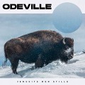Cover-Bild zum Titel 'Jenseits der Stille' von 'Odeville'