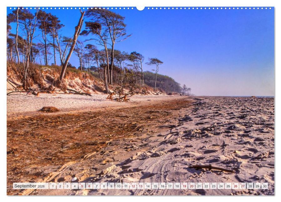 InsideView 13