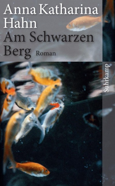 Am Schwarzen Berg - Anna Katharina Hahn