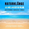 Naturklänge mit 432 und 528 Hz Musik zum Entspannen, Einschlafen & Träumen - Jeremy Forbs, Peter Tennant
