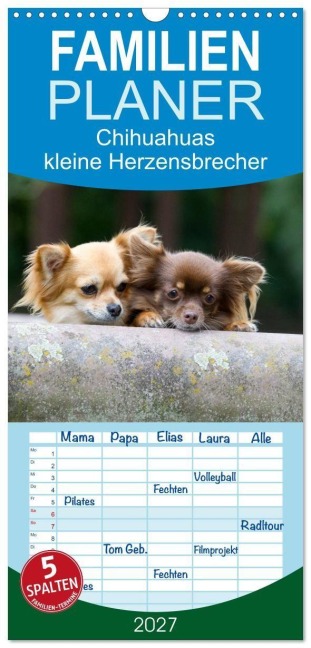 Familienplaner 2027 - Chihuahuas - kleine Herzensbrecher mit 5 Spalten (Wandkalender, 21 x 45 cm) CALVENDO - Verena Scholze
